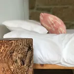 招待所 Zn