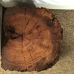 Zn 招待所